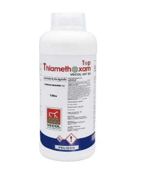 HAMMER 247 SC